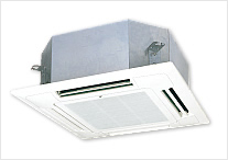 ŷ����������������